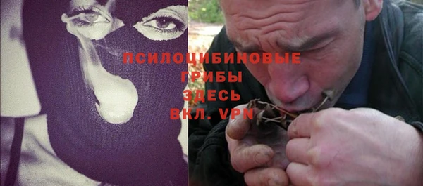 шишки Белоозёрский