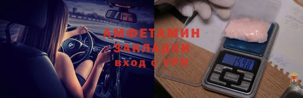 шишки Белоозёрский