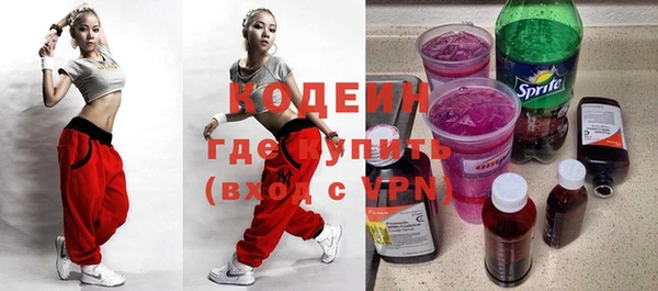 шишки Белоозёрский